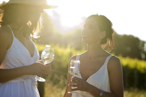Hunter Valley Wine Tour From Sydney With Lunch And 3 Cellar Door Tastings - Attractions 4