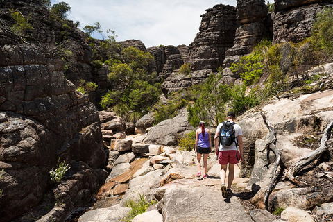 Grampians National Park With Kangaroos And MacKenzie Falls From Melbourne - Attractions 3