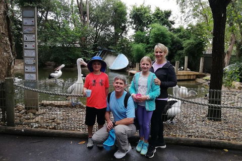 Blue Mountains Private Tour With Kangaroos & Koala Encounter - Attractions 4