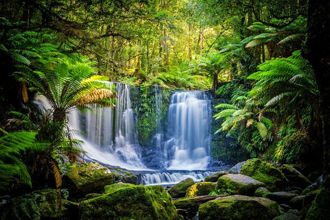 Day Tour In Mt. Field, Mt. Wellington, Bonorong Wildlife Sanctuary And Richmond - Attractions 0