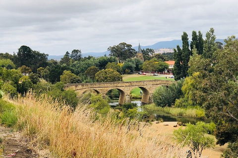 Day Tour In Mt. Field, Mt. Wellington, Bonorong Wildlife Sanctuary And Richmond - Attractions 3