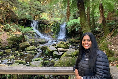 Day Tour In Mt. Field, Mt. Wellington, Bonorong Wildlife Sanctuary And Richmond - Attractions 5