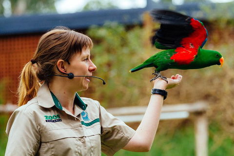 VIP Sanctuary Tour At Healesville Sanctuary Ticket - Attractions 0