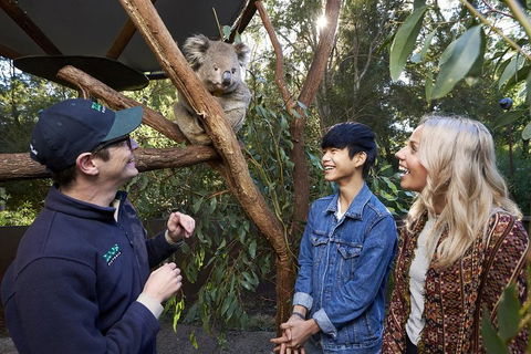 VIP Sanctuary Tour At Healesville Sanctuary Ticket - Attractions 1