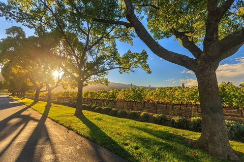 Very Best Of Perth Tour - Wildlife Park & City Highlights Tour - Attractions 2