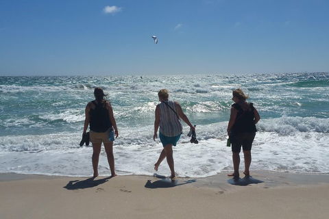 Very Best Of Perth Tour - Wildlife Park & City Highlights Tour - Attractions 5