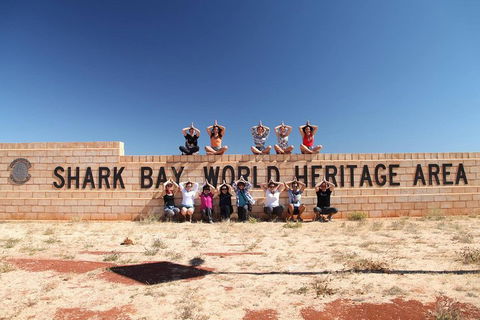 6-Day Coral Coaster From Perth To Exmouth One-Way Via Monkey Mia Ningaloo Reef - Attractions 4