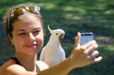 2-Day Melbourne To Adelaide Tour: Great Ocean Road And Grampians One Way Trip - See Attractions 0