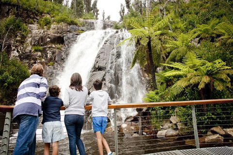 Lake Mountain Snow Trip Including Yarra Valley Chocolaterie From Melbourne - Attractions 0