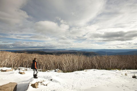 Lake Mountain Snow Trip Including Yarra Valley Chocolaterie From Melbourne - Attractions 5