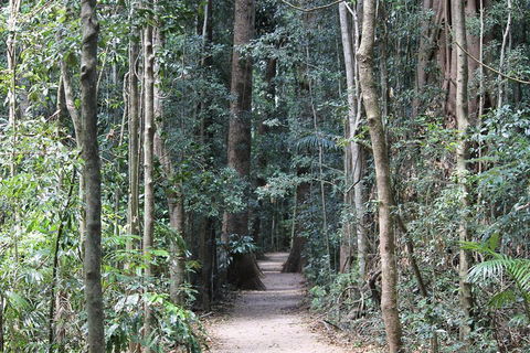 Eumundi Markets And Sunshine Coast Day Trip From Brisbane - Attractions 4