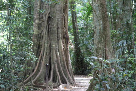 Noosa And Sunshine Coast Hinterland Day Trip From Brisbane - Attractions 3