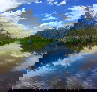 Noosa Everglades Serenity Cruise  Highlights Tour Inc. Lunch  Cruise - See Attractions