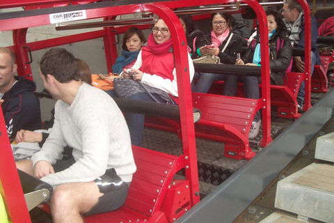 Blue Mountains Private Tour With Wildlife Park And River Cruise - Attractions 0