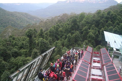 Blue Mountains Private Tour With Wildlife Park And River Cruise - Attractions 1