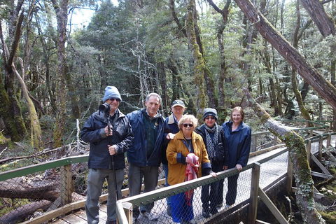 Blue Mountains Private Tour With Wildlife Park And River Cruise - Attractions 2