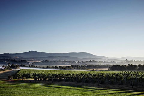 Chauffeur Driven Yarra Valley Group Wine Tour - Up To 7 - Attractions 2