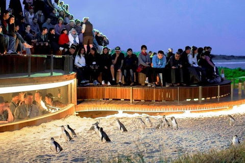 Great Ocean Road & Phillip Island - 3 Days, 2 Nights - Attractions 0