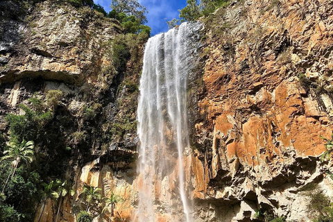 Springbrook Full Day Tour - Attractions 2