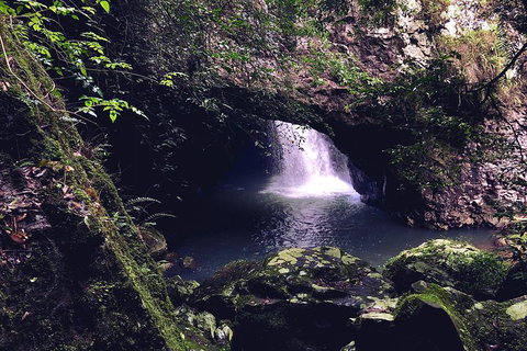 Springbrook Full Day Tour - Attractions 3