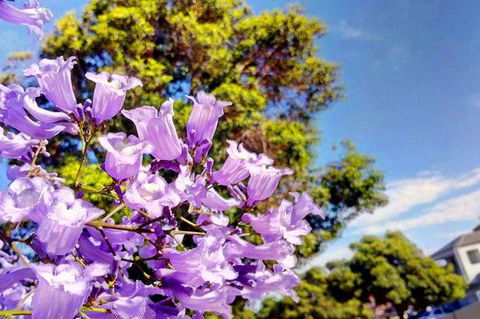 Big Perth (Private) Day Tour - Attractions 3