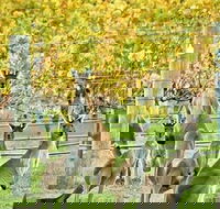 Margaret River Indulge and Discover Day Tour - Attractions