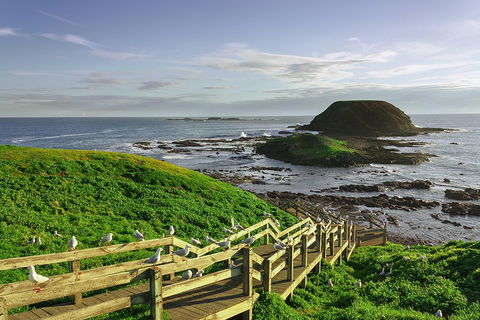 Full-Day Private Australian Wildlife Tour Of Phillip Island - Attractions 0