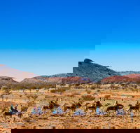 Alice Springs Camel Tour - Attractions