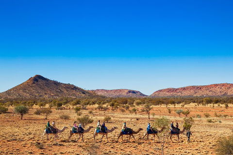 Alice Springs Camel Tour - Attractions 0