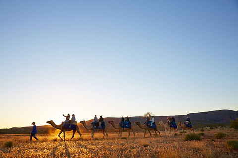 Alice Springs Camel Tour - Attractions 1