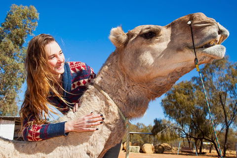 Alice Springs Camel Tour - Attractions 2
