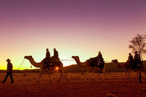 Alice Springs Camel Tour - Attractions 4