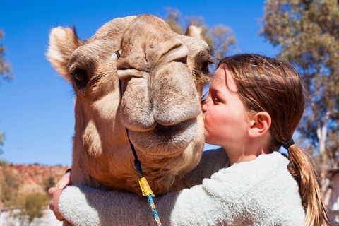 Alice Springs Camel Tour - Attractions 5