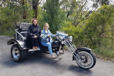 Blue Mountains 1-Hour Trike Tour Of Three Sisters - Attractions Las Vegas 1