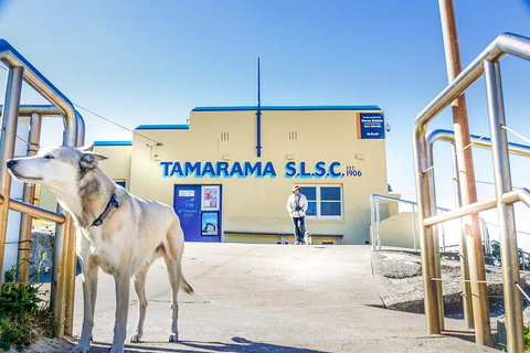 Smartphone & Camera Photography Basics - Attractions 5