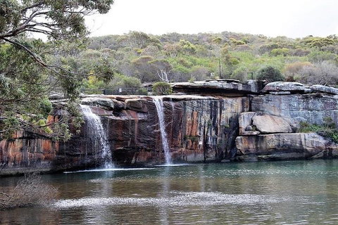 Royal National Park Tour - Attractions 1