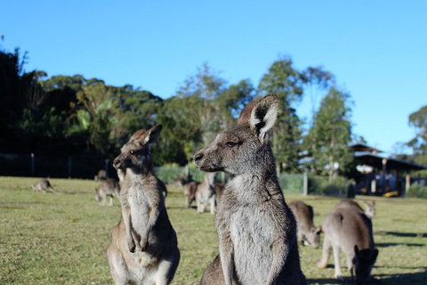 Royal National Park Tour - Attractions 2