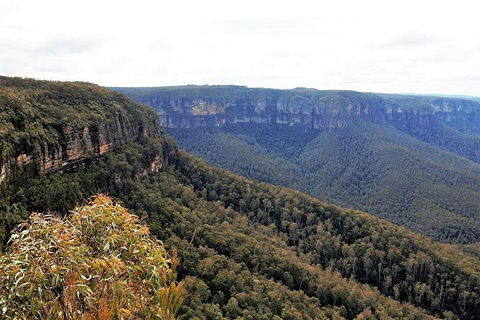 Blue Mountains - Attractions 3