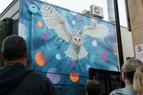Jimmy C Street Art Walking Tour - Attractions Las Vegas 1