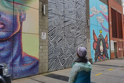 Jimmy C Street Art Walking Tour - Attractions Las Vegas 2
