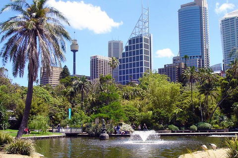 Private Sydney Half Day Tour Including Sydney Opera House And Bondi Beach - Attractions 4