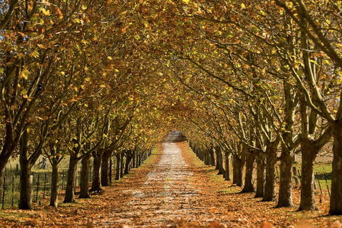 Private Southern Highlands Day Trip From Sydney Including Fitzroy Falls - Attractions 4