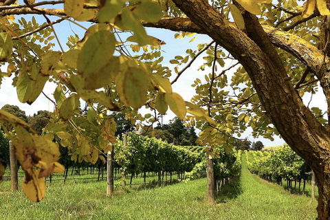 Private Southern Highlands Day Trip From Sydney Including Fitzroy Falls - Attractions 5