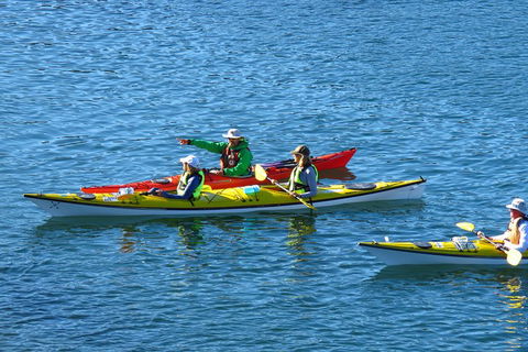 Half-Day Sydney Middle Harbour Guided Kayaking Eco Tour - Attractions 0
