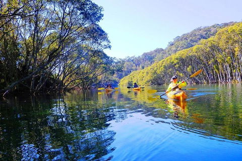 Half-Day Sydney Middle Harbour Guided Kayaking Eco Tour - Attractions 1