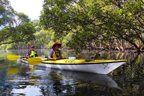 Half-Day Sydney Middle Harbour Guided Kayaking Eco Tour - Attractions 3
