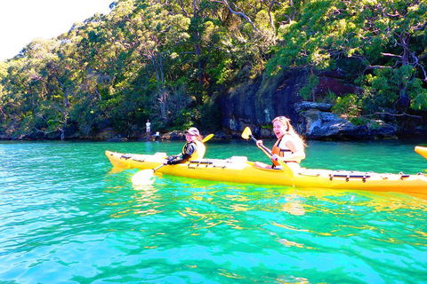 Half-Day Sydney Middle Harbour Guided Kayaking Eco Tour - Attractions 4