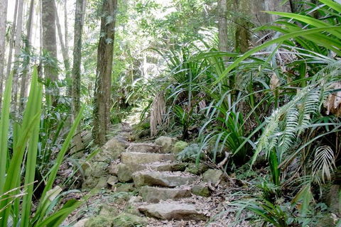 Byron Bay Combo: Minyon Falls And Hinterland Day Trip And Learn To Surf At Byron Bay - Attractions 3