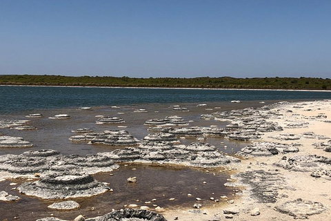 Private Pinnacles Day Tour - See Attractions 5