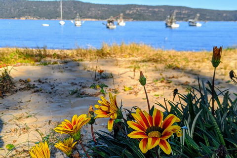 Central Coast Explorer With 'Personalised Sydney Tours' - Attractions 2